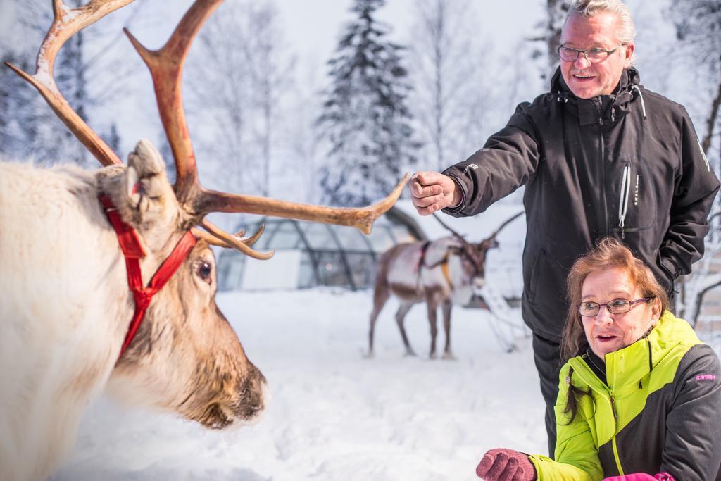 Готель Lapland Igloo Рануа Екстер'єр фото